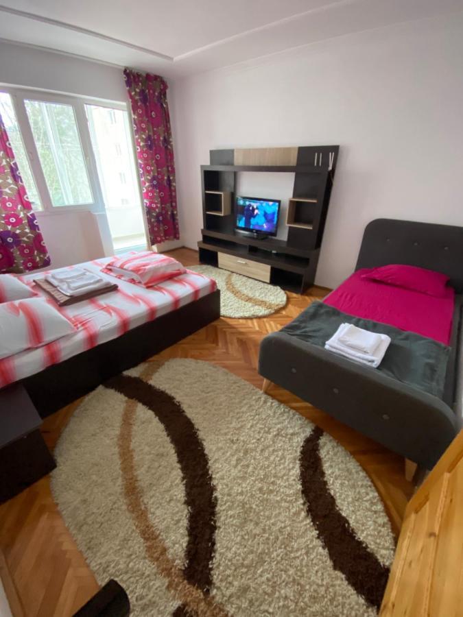 Linen Tree Apartment Băile Herculane Esterno foto