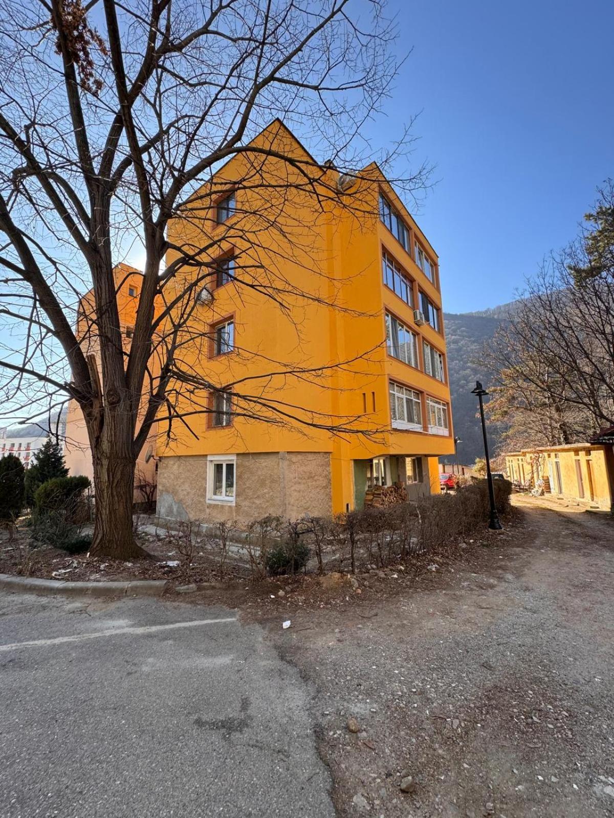 Linen Tree Apartment Băile Herculane Esterno foto